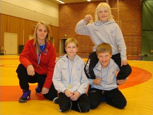 Vapaapainin aluemestarit 2010